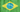 ShineCaroline Brasil